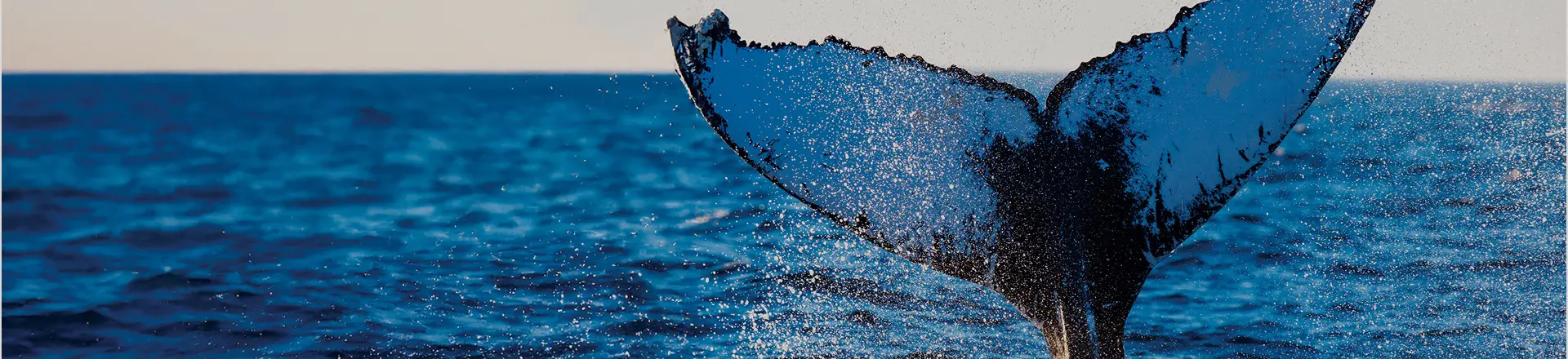 Prepago Ultra de Liberty