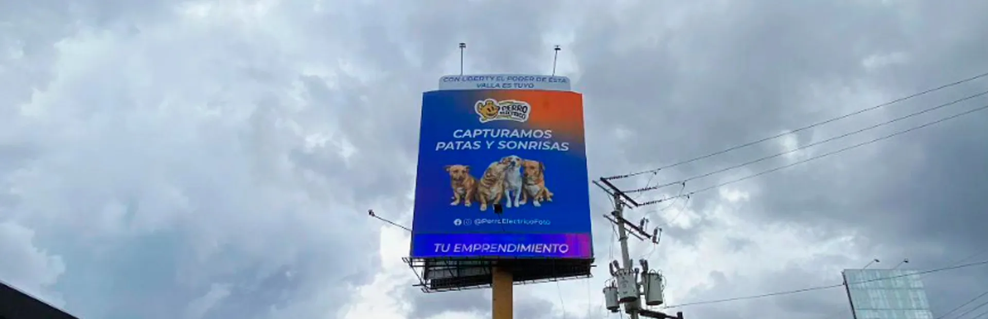 Imagen del artículo