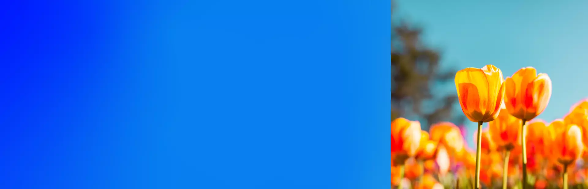 Asistencia Funeraria Liberty Pospago