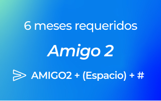 6 meses requeridos
