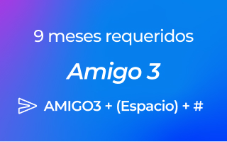 9 meses requeridos