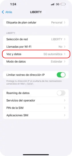 4. Dentro de Opciones, seleccionar 'Voz y datos'.